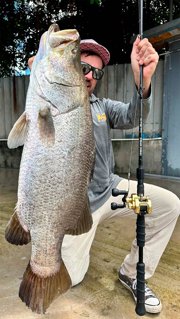 Swimbait Republic Sneak Attack 711